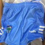 Tipperary GAA O'Neills Training Short 2025 Sky/White (Adults/Kids) - Image 5